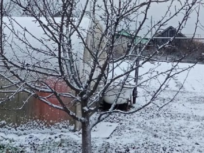 Важная обработка сада от вредителей: успейте сделать в марте