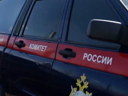 В Мордовии следователи проверят информацию об избиении водителем автобуса подростка