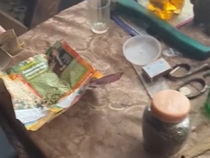 В Мордовии у наркомана конфисковали выращенные им наркотики