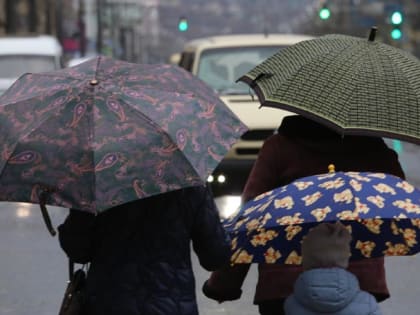 Дожди, грозы и даже снег: синоптики предупредили россиян об арктическом вторжении