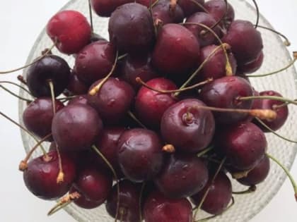 Самые урожайные сорта черешни 