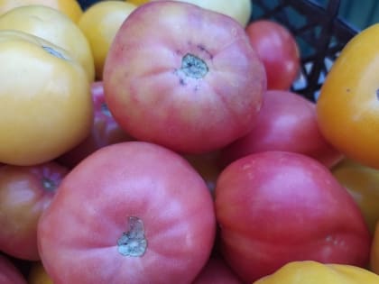 Врач-онколог назвала три продукта, от которых не стоит отказываться 