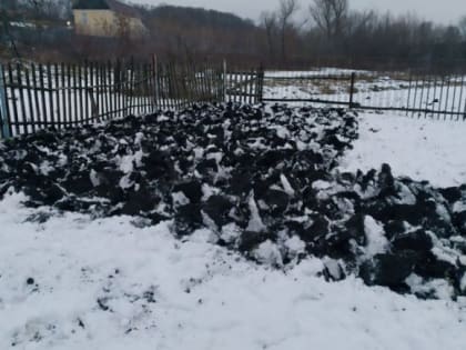 Подготовка сада в марте: простой раствор, который поможет избавиться от вредителей
