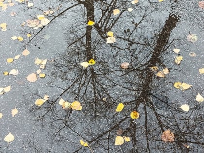 Синоптики рассказали, с чего начнется ноябрь