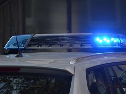 Житель Саранска поехал в село Лопатино, встретил полицейских и получил 3,5 года условно