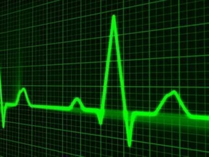 Ученые определили, от чего на самом деле происходят болезни сердца