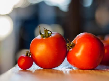 В Узбекистане разработали съедобную вакцину от ковида на основе помидоров