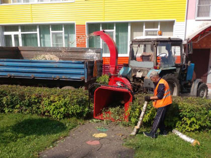 Муниципальное предприятие «СпецСервис» выполняет полный комплекс работ по стрижке кустарников, санитарной вырубке сухих и аварийных деревьев, обрезке веток, загораживающих дорожные