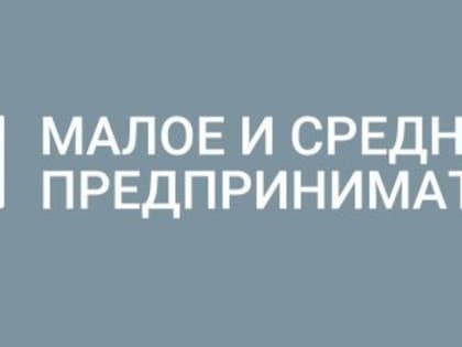 В Мордовии более 20 тысяч субъектов малого и среднего предпринимательства