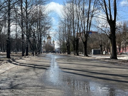 В Мордовии установилась хорошая для прогулок погода