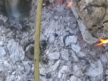 Польза древесной и торфяной золы для улучшения почвы