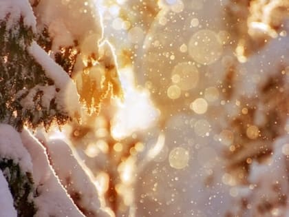 В Саранске на 11 января объявлено оперативное предупреждение