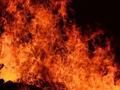 В Мордовии на пожаре погибла старушка