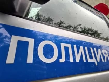 Мужчину в Мордовии осудили за нехорошие слова в адрес полицейского 