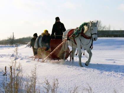 «Доктор с гривой 2.0» — перед Новым годом для детей провели спортивный праздник