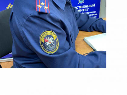 Следователи Мордовии разыскивают очевидцев смертельного ДТП с 7-летней девочкой