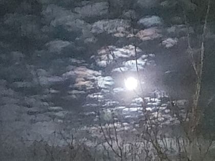 Сретение Господне 2024: не делайте этого, иначе страшные беды обрушатся