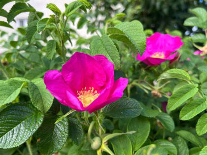 Синоптики рассказали о погоде в Мордовии на выходные