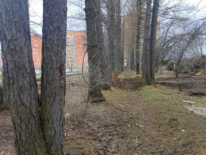 Работники Администрации Пролетарского района приняли активное участие в уборке территорий