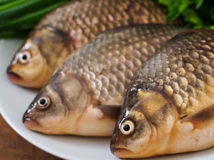 От популярной в употреблении рыбы заводятся черви, которые едят нас изнутри: кто кого поймал на крючок — проверь себя
