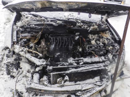 8 машин сгорело в Мордовии с начала года