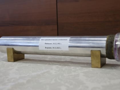 В Мордовии в капсуле времени обнаружили семена гороха и пшеницы