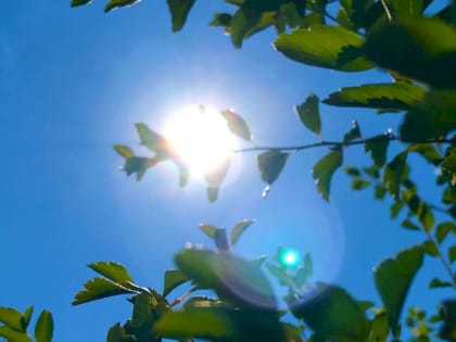 Вильфанд пообещал тропическую погоду по ночам