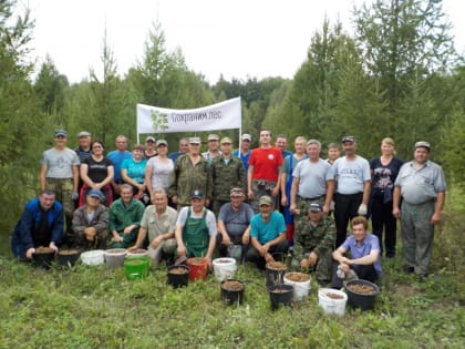 В Мордовии прошла акция «Сохраним лес»