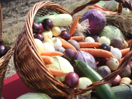 Точно не сгниет: секреты правильного хранения картошки, моркови и свеклы