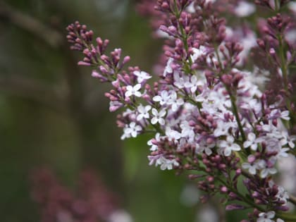 Синоптики сказали, когда закончится аномальный холод