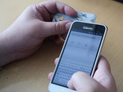 В Саранске педагог образовательного учреждения стала жертвой мошенников