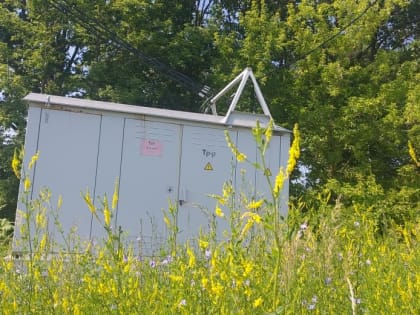 В городском округе Саранск продолжается борьба с борщевиком Сосновского