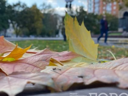 «Страшная жара вернется, но с сюрпризом». Синоптики сказали, что приближается