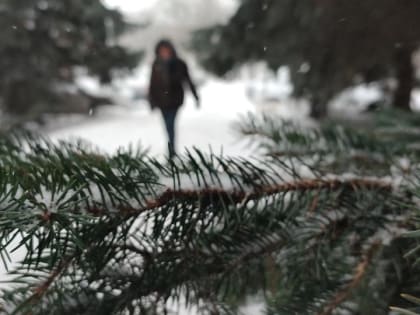 В Мордовии в четверг днем -5…0°С