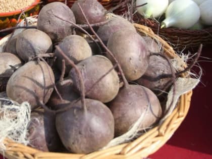 Идеальное время для уборки свёклы на хранение