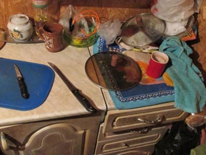 Жительница Саранска порезала зятя