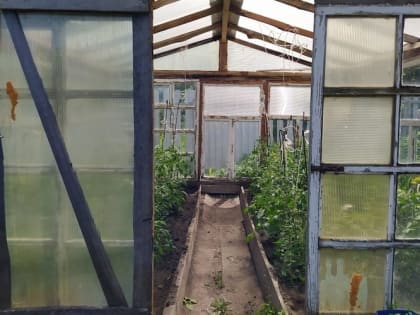 Какой поликарбонат для теплицы лучше