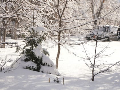 Из-за морозов в Мордовии отменили уроки в школах 