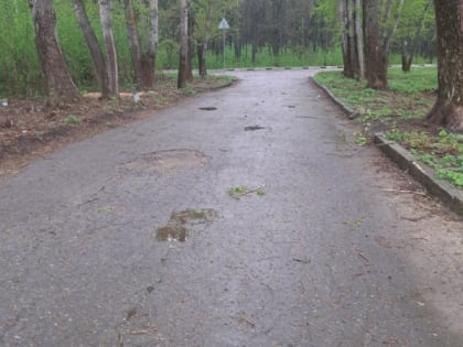 Погода в Мордовии на 25 августа: кратковременные дожди и тепло