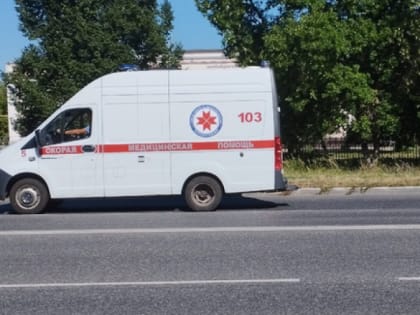 Убивают раковые клетки: в Роскачестве назвали продукты — помогут избежать онкологии в кишечнике