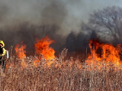В Мордовии МЧС объявило метеопредупреждение о 4 классе пожароопасности с 10 по 12 сентября