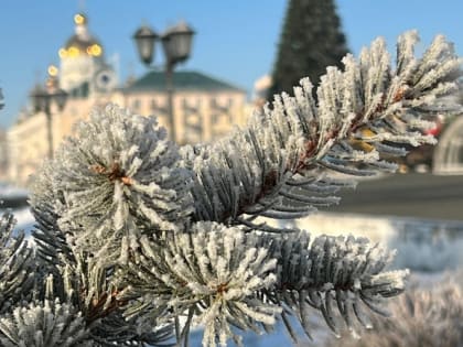 Министерство образования Мордовии сообщило об отмене занятий в школах в холода 