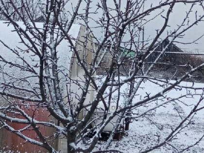 Март – время для обрезки деревьев в саду