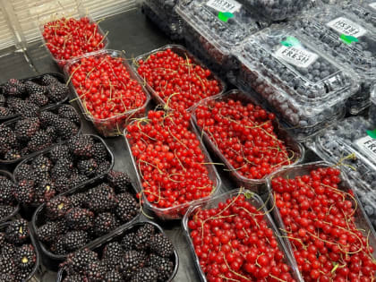 Опасности винограда: стоит ли от него отказаться навсегда?