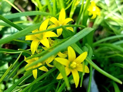 Светлая среда: не делайте этого 19 апреля, иначе беда в семью придет