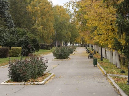 Синоптики рассказали о погоде в Мордовии на выходные