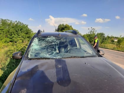 В Мордовии отец командира спецбатальона ДПС осужден за пьяное ДТП со смертельным исходом