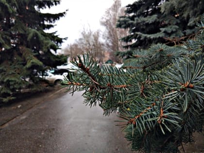 В Мордовии в воскресенье днем до -1°С