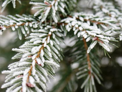 В Мордовии на этой неделе ожидается резкое похолодание