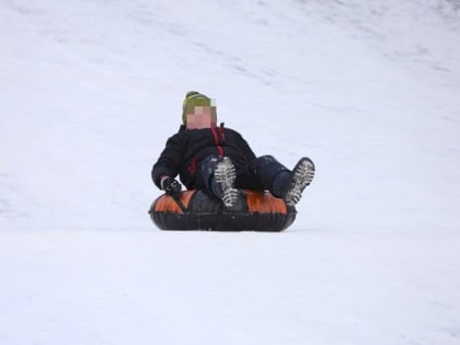 Восьмилетний мальчик в Москве погиб, врезавшись в дерево на тюбинге 